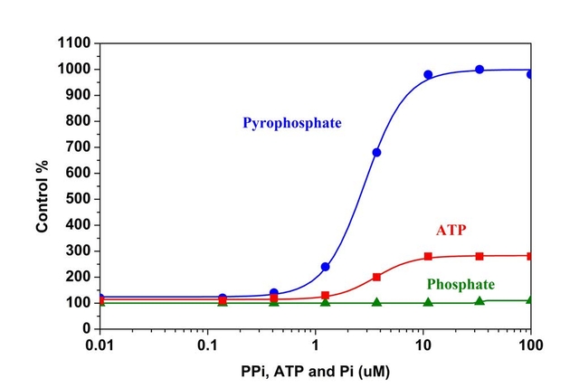 Pyrophosphate, ATP and phosphate dose responses