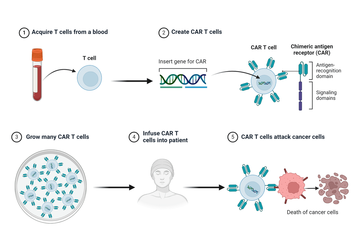 Chimeric Antigen Receptor (CAR) T cell generation and cancer therapy
