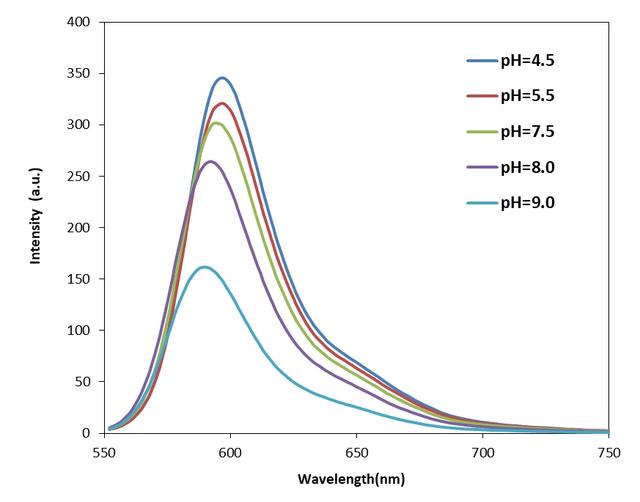 The pH-dependent emission spectra of Protonex™ Red 600 PEG12 maleimide.