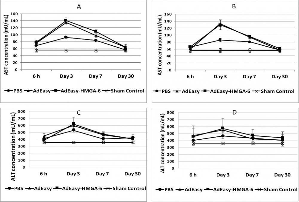 <strong>Analysis of serum transaminases following injection with viruses.</strong><br />(A) ALT concentration following injection with AdEasy, AdEasy-HMGA-6 or PBS as vehicle control into the liver. (B) ALT concentration following injection with AdEasy, AdEasy-HMGA-6 or PBS as vehicle control into the pancreas. (C) AST concentration following injection with AdEasy, AdEasy-HMGA-6 or PBS as vehicle control into the liver. (D) AST concentration following injection with AdEasy, AdEasy-HMGA-6 or PBS as vehicle control into the pancreas. Viruses were injected with a dose of 1.0X108 virus particles / kg of body weight. 20&mu;L of PBS was injected as a vehicle control. The sham control group did not undergo any surgical procedure. Serum samples were collected 6h, 3, 7 or 30 days post-injection of viruses or PBS. All data represent the means &plusmn; SD of three mice. Source:&nbsp;<strong>A mouse model study of toxicity and biodistribution of a replication defective adenovirus serotype 5 virus with its genome engineered to contain a decoy hyper binding site to sequester and suppress oncogenic HMGA1 as a new cancer treatment therapy,&nbsp;</strong>by Faizule Hassan et al., <em>PLOS</em>, Feb. 2018