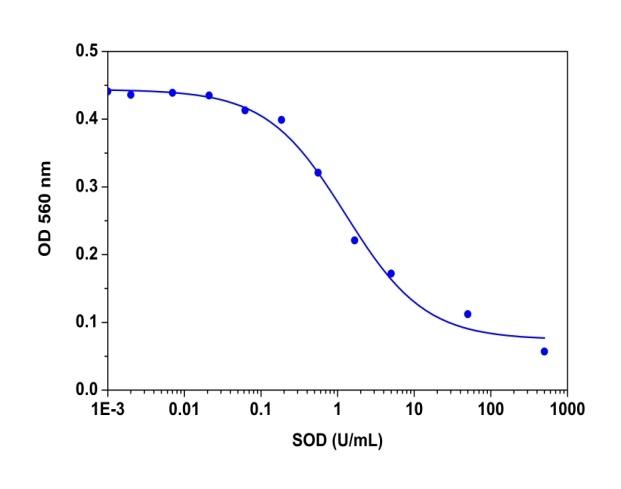 SOD dose response was measured with Amplite® Colorimetric Superoxide Dismutase Assay Kit in a 96-well white wall/clear bottom plate with a Spectrum Max microplate reader (Molecular Devices). As low as 0.1 U/mL SOD was detected with 60 minutes incubation time (n=3). The figure is SOD activity as a function of absorbance at 560 nm (OD).