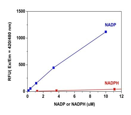 Comparison of NADP and NADPH response