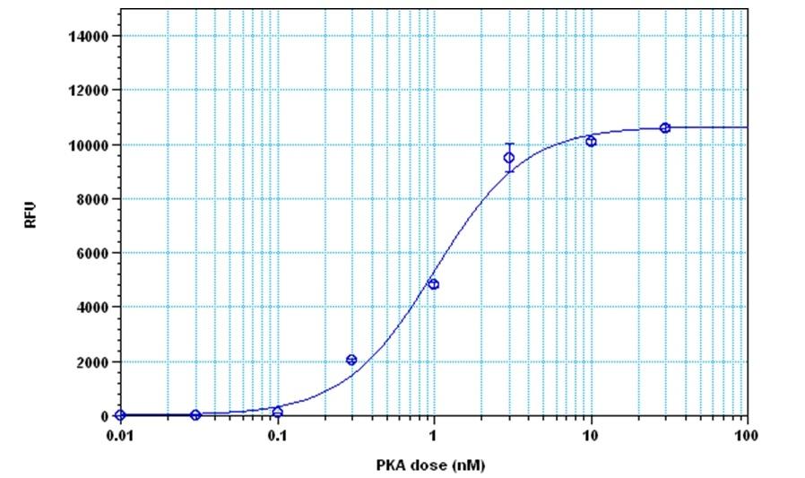 The detection of protein kinase A with the Amplite® Fluorimetric Kinase Assay Kit. The kinase was incubated in the presence of ATP and kemptide peptide substrate for 30 minutes, and ADP generation was detected after 30 minutes incubation using the Amplite® Fluorimetric Kinase Assay Kit.
