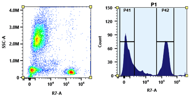 Flow cytometry analysis of whole blood stained with APC-Cy7 anti-human CD4 *SK3* conjugate. The fluorescence signal was monitored using an Aurora spectral flow cytometer in the APC-Cy7 specific R7-A channel. APC-Cy7 anti-human CD4 *SK3* conjugates were prepared using the Buccutite™ Rapid APC-Cy7 Tandem Antibody Labeling Kit *Production Scale* (Cat# 5415).