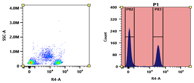 Flow cytometry analysis of PBMC stained with APC-iFluor® 700 anti-human CD4 *RPA-T4* conjugate. The fluorescence signal was monitored using an Aurora spectral flow cytometer in the APC-iFluor® 700 specific R4-A channel. APC-iFluor® 700 anti-human CD4 *RPA-T4* conjugate was prepared using the Buccutite™ Rapid APC-iFluor® 700 Tandem Antibody Labeling Kit *Production Scale* (Cat# 5413).