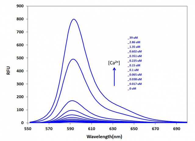 Fluorescence emission spectra of Cal-590&trade; in solution containing 0 to 39 &micro;M free Ca<sup>2+</sup>.