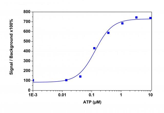 An ATP&nbsp;dose-response was measured in CHO-K1 cells with Calbryte&trade; 590 AM. CHO-K1 cells were seeded overnight at 50,000 cells/100 &micro;L/well in a 96-well black wall/clear bottom costar plate. 100 &micro;L of 10 &micro;g/ml Calbryte&trade; 590 AM in HH Buffer with probenecid was added and incubated for 60 min at 37&deg;C. Dye loading solution was then removed and replaced with 200 &micro;L HH Buffer/well. ATP&nbsp;(50 &micro;L/well) was added by FlexStation 3 to achieve the final indicated concentrations.