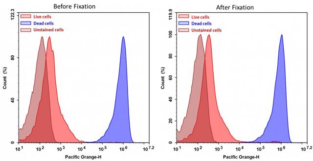 Detection of Jurkat cell viability by Cell Meter&trade; fixable viability dye. Jurkat cells were treated and stained with&nbsp;Cell Meter&trade; VX500 (Cat#22542), and then fixed in 3.7% formaldehyde and analyzed by flow cytometry. &nbsp;The dead cell population (Blue peak)&nbsp; is easily distinguished from the live cell population (Red peak)&nbsp; with Pacific Orange channel, and nearly identical results were obtained before and after fixation.