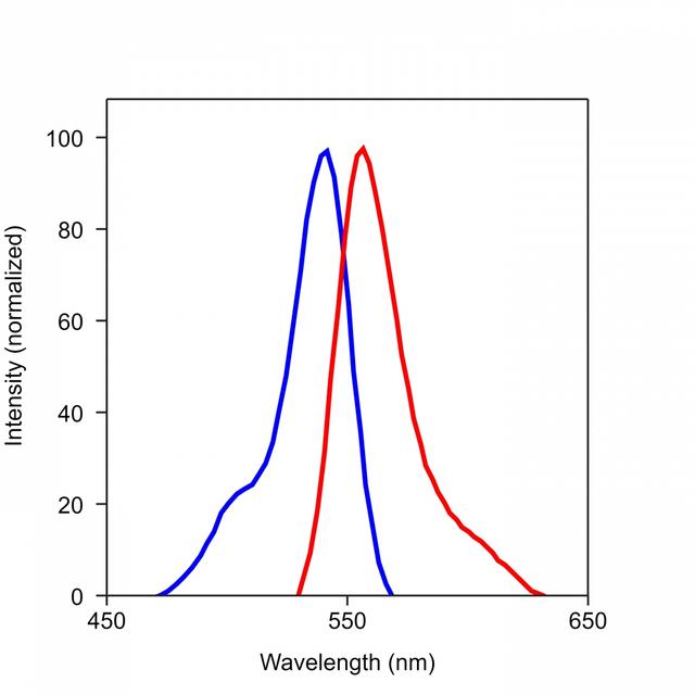 The excitation and emission spectra of iFluor<sup>TM&nbsp;</sup>546.&nbsp;