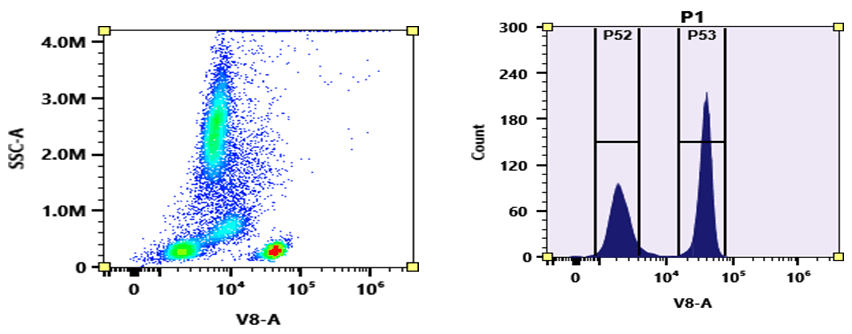 Flow cytometry analysis of whole blood stained with mFluor™ Violet 540 anti-human CD4 *RPA-T4* conjugate. The fluorescence signal was monitored using an Aurora spectral flow cytometer in the mFluor™ Violet 540 specific V8-A channel.