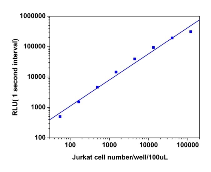 Jurkat cell number was measured with the PhosphoWorks&trade; Luminescence ATP Assay Kit *DTT-Free * on a 96-well white plate using a NOVOstar plate reader (BMG Labtech). The kit can detect as low as 100 cells. The integration time was 1 sec.