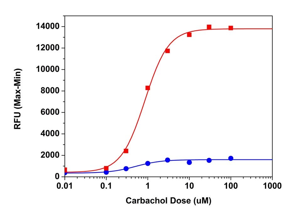 Carbachol dose responses were measured in HEK-293 cells
