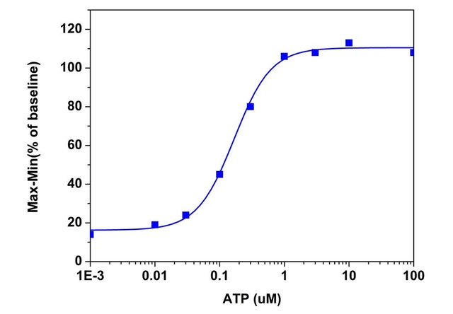 ATP dose responses were measured in CHO cells with Screen Quest™ Fura-2 No Wash Calcium Assay Kit (Cat# 36320).