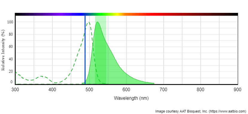 Absorption and emission spectrum for Tunnelyte™ Green
