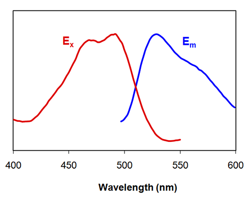 Excitation and Emission Spectra