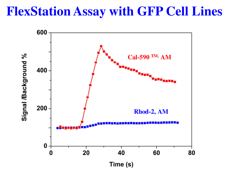 ATP-stimulated calcium response