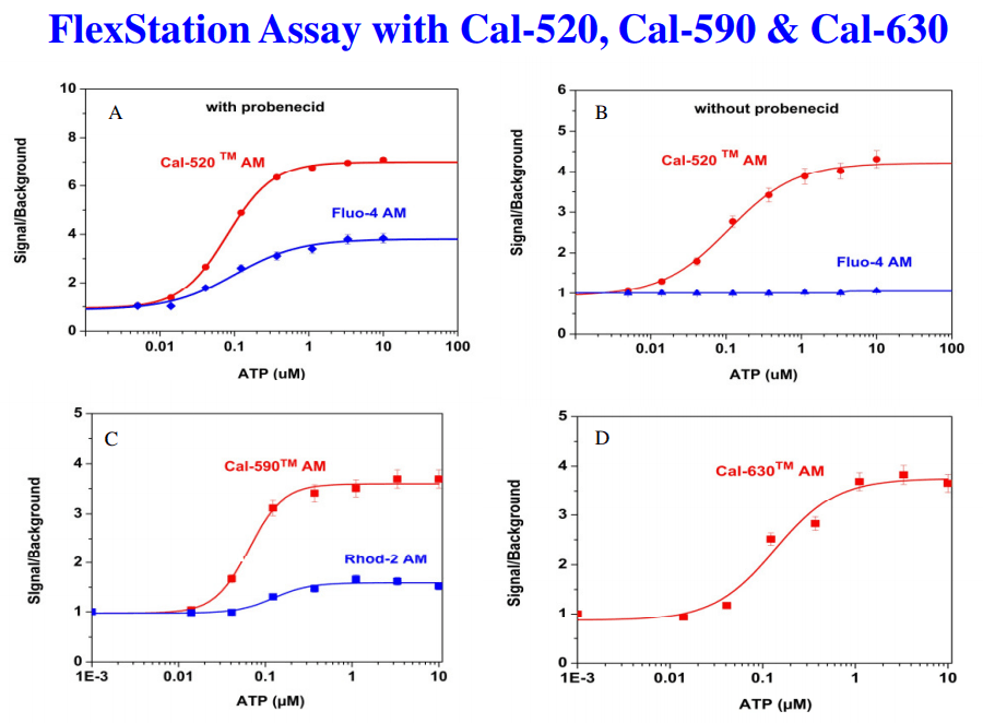 ATP-stimulated calcium response