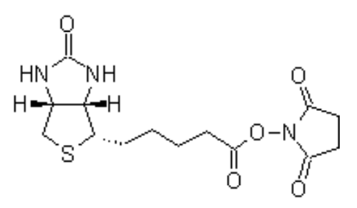D-biotin, SE