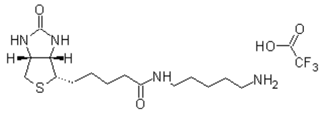 Biotin cadaverine