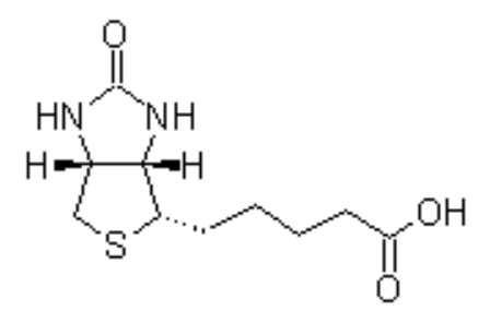 D-biotin