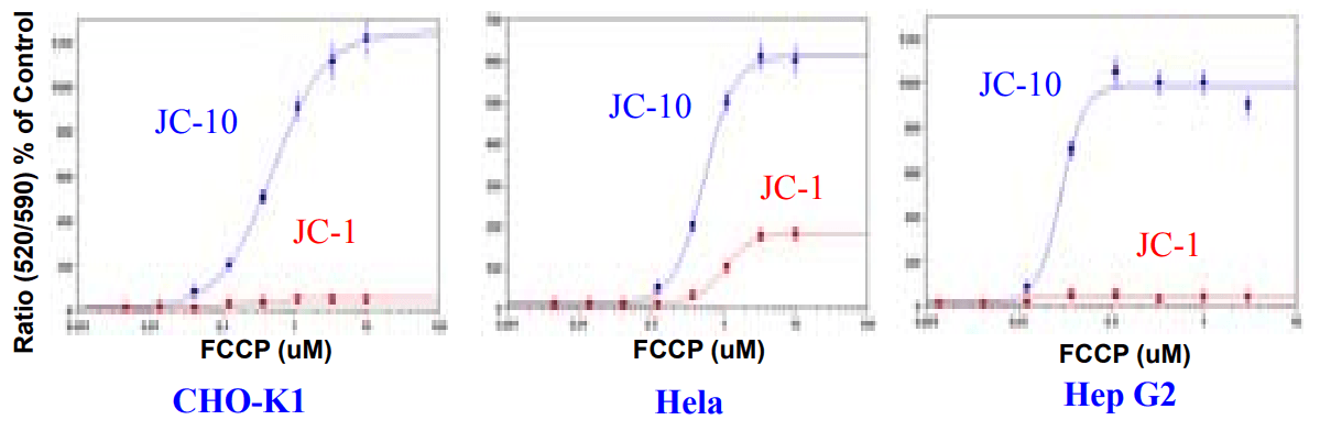 FCCP dose response