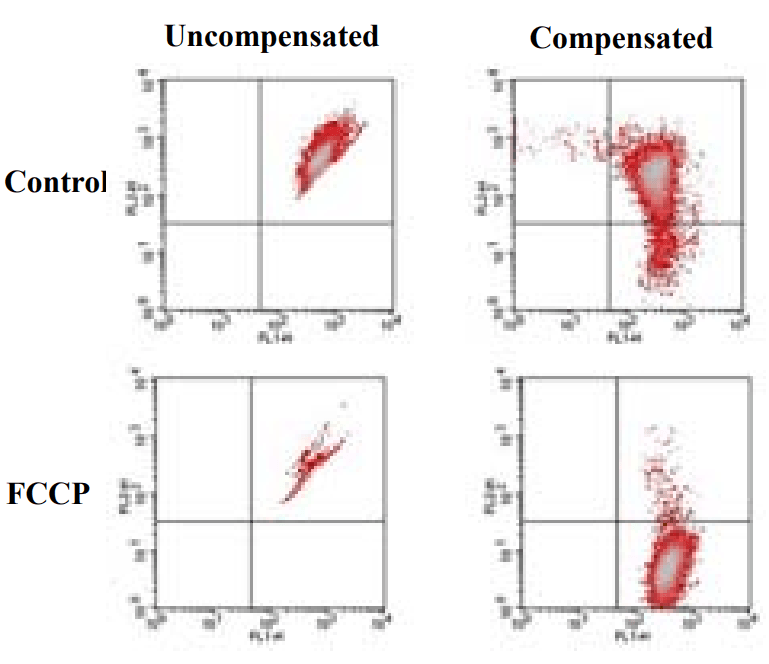 Flow Cytometric analysis