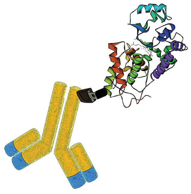 Crosslinking