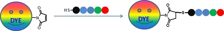 Reaction Scheme