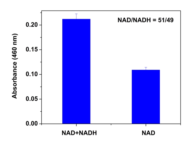 NAD/NADH and NADP/NADPH | AAT Bioquest
