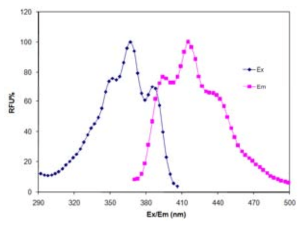 Excitation and Emission