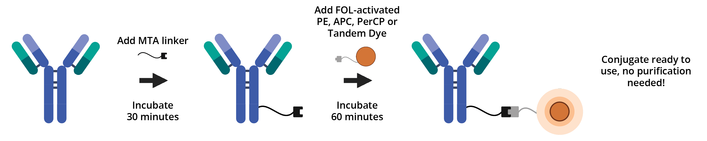 BuccutiteRapidWorkflow