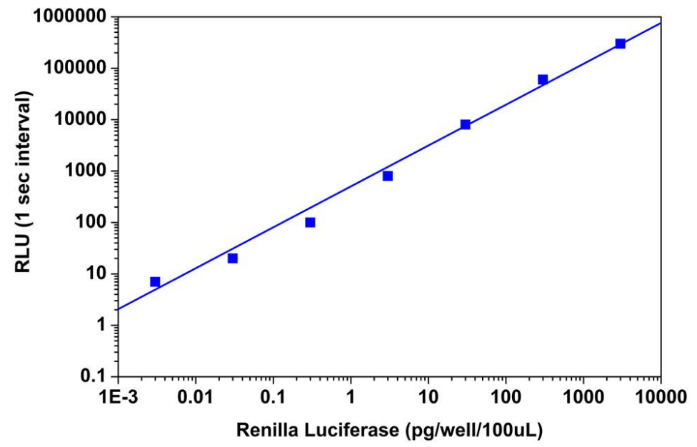 Renilla Luciferase Reporter Gene Assay
