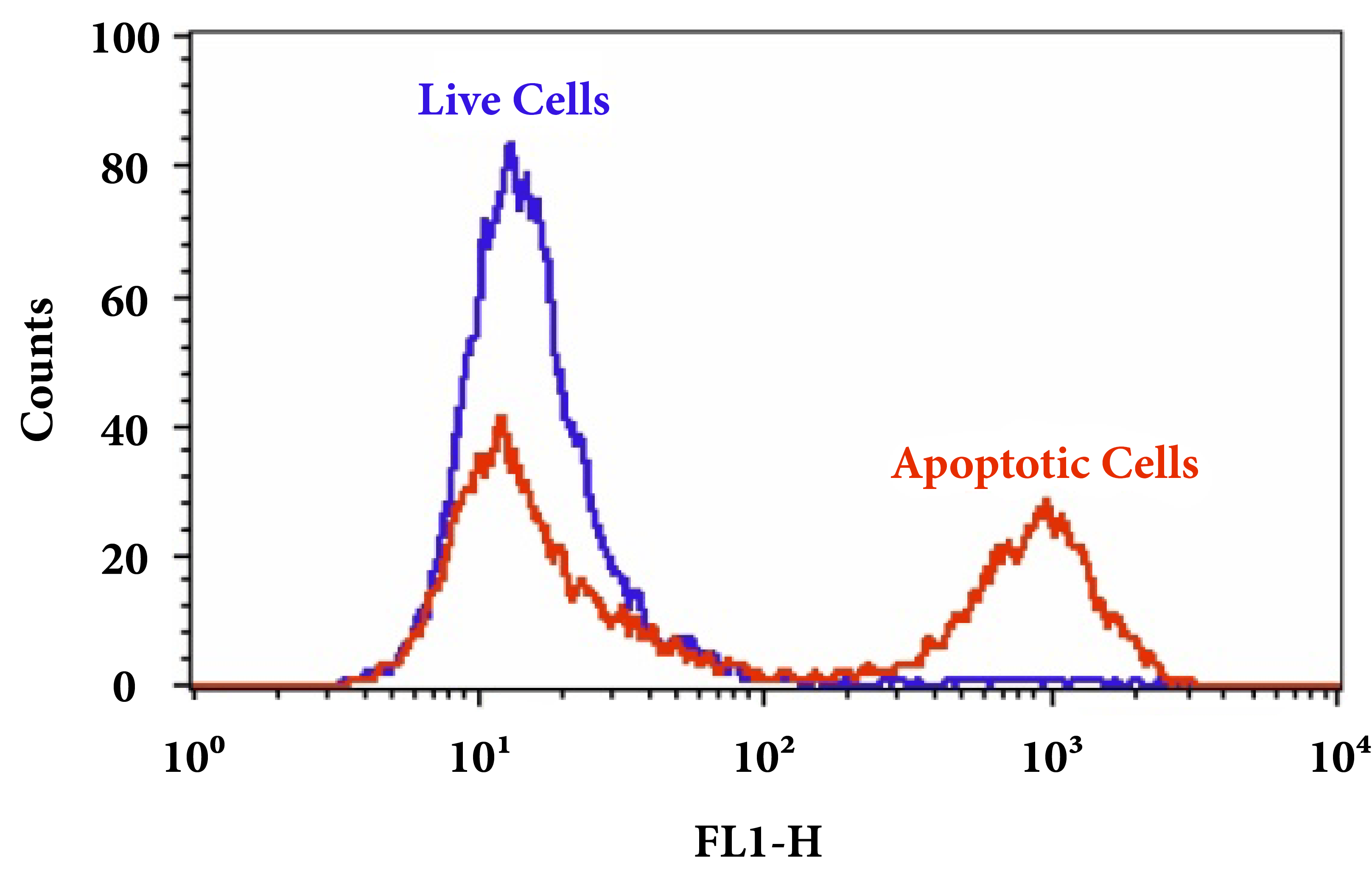 Cell Meter Annexin V Binding Apoptosis Assay