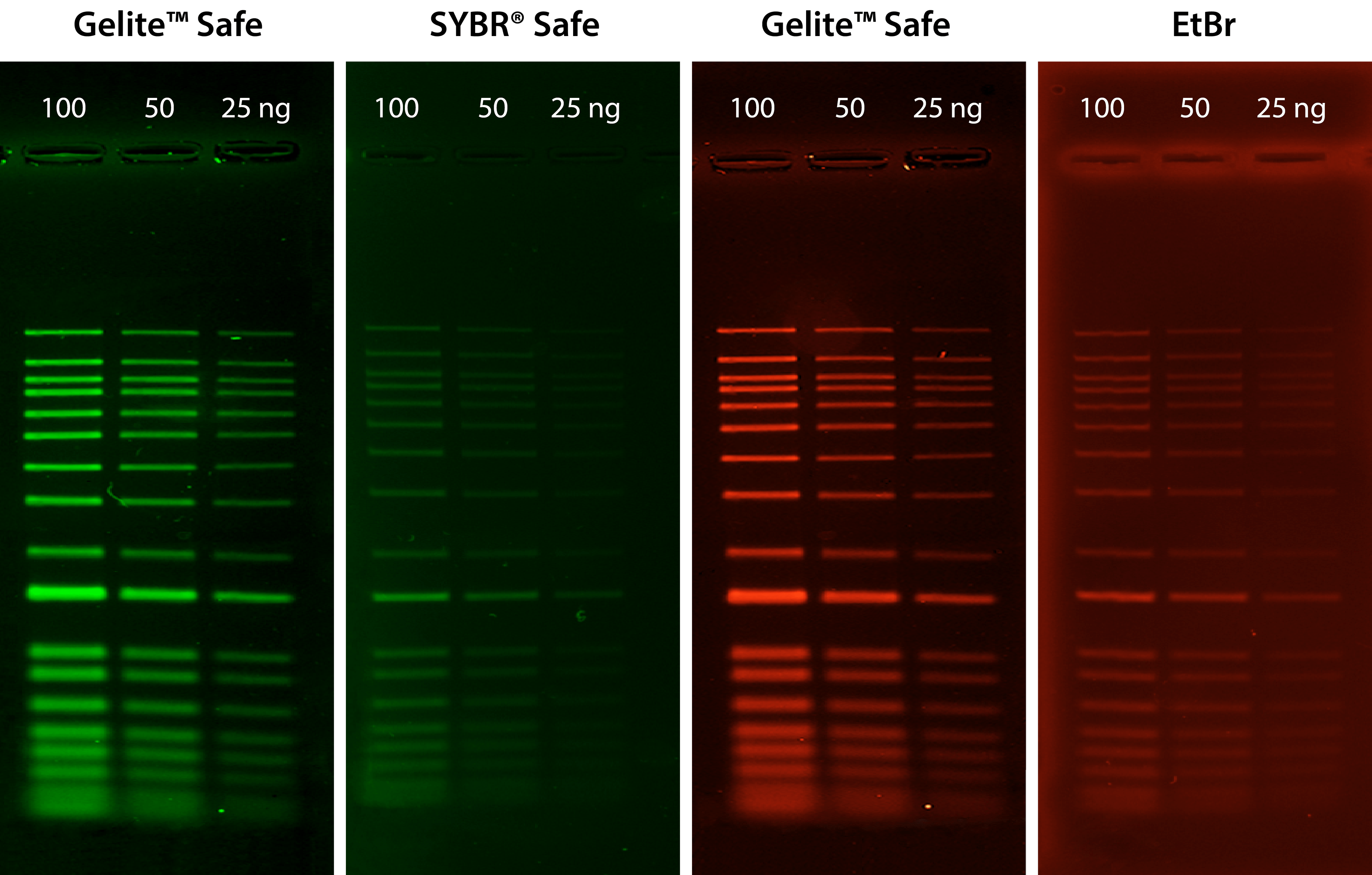 Comparitive Analysis