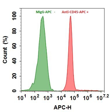 Flow cytometry analysis of HL-60 cells stained with Buccutite™ Rapid APC Antibody Labeling Kit.