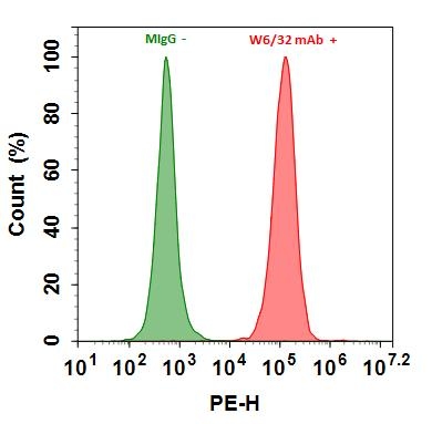 Flow cytometry analysis of HL-60 cells stained with Buccutite™ Rapid RPE Antibody Labeling Kit.
