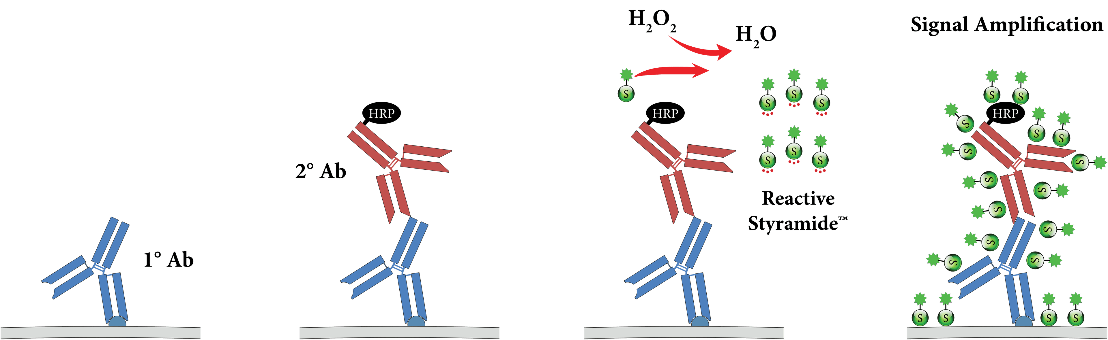 PSA workflow illustration
