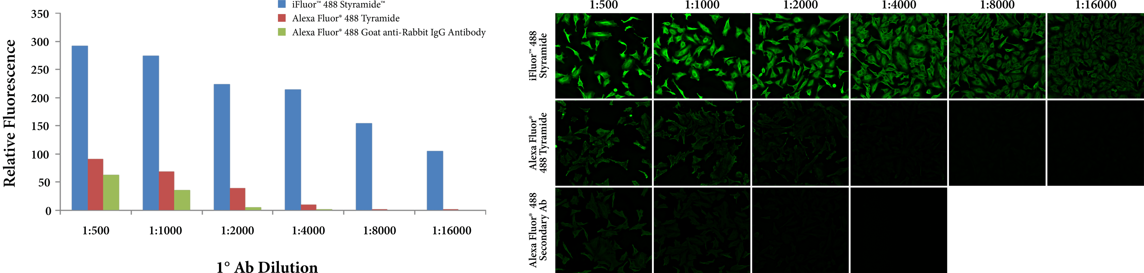 Relative Fluorescence vs. Antibody Dilution;Relative Fluorescence vs. Antibody Dilution