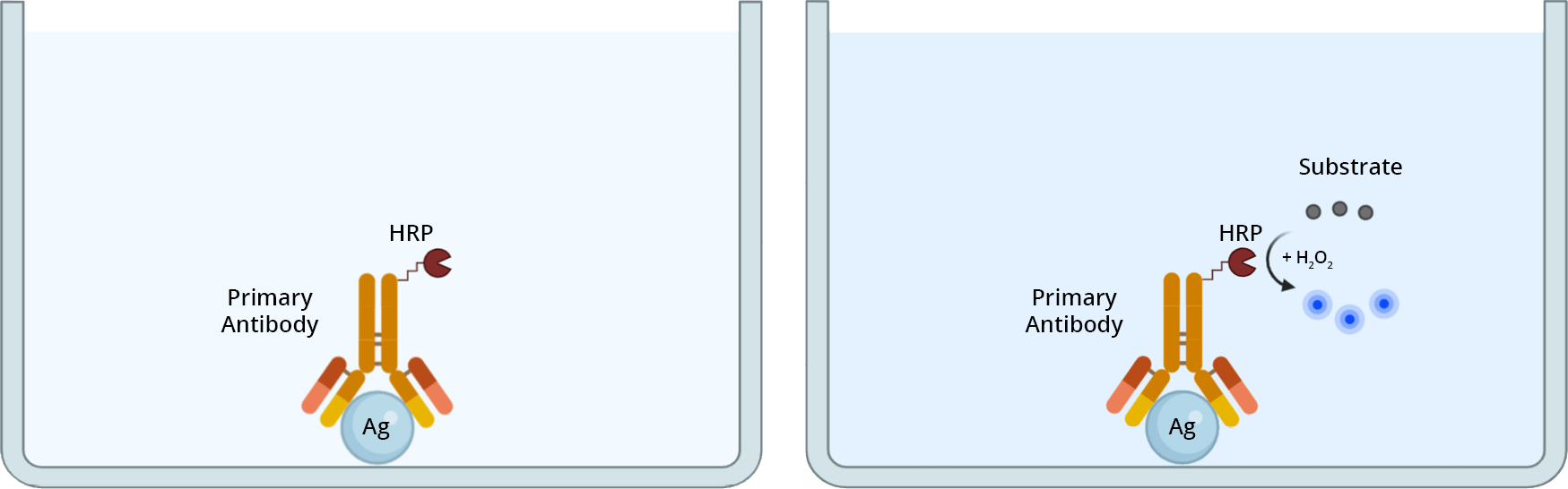 Colorimetric direct Elisa