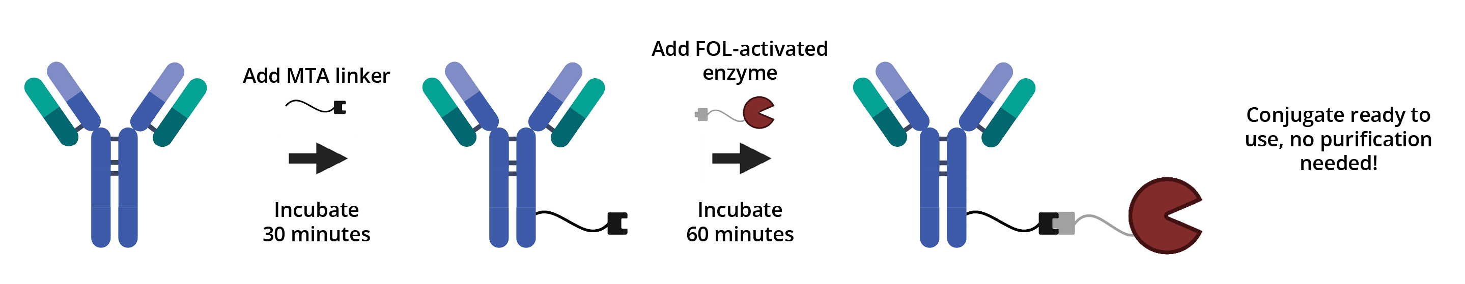 BuccutiteWorkflow