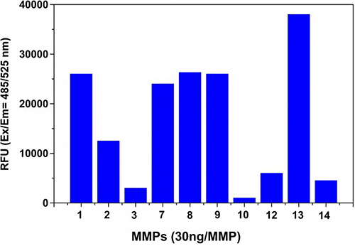 Universal MMP Activity