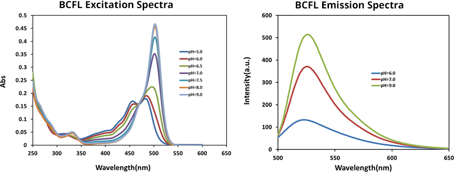 Excitation and emission spectra of BCFL