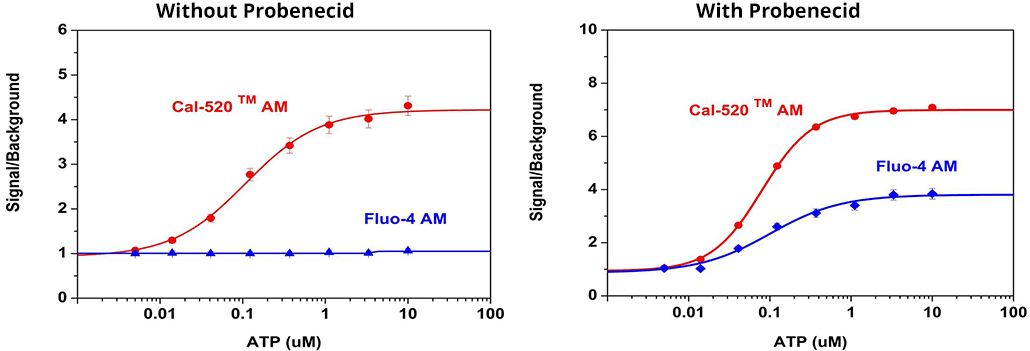ATP-stimulated calcium response of endogenous P2Y receptor in CHO-K1 cells incubated with Fluo-4 and Cal-520