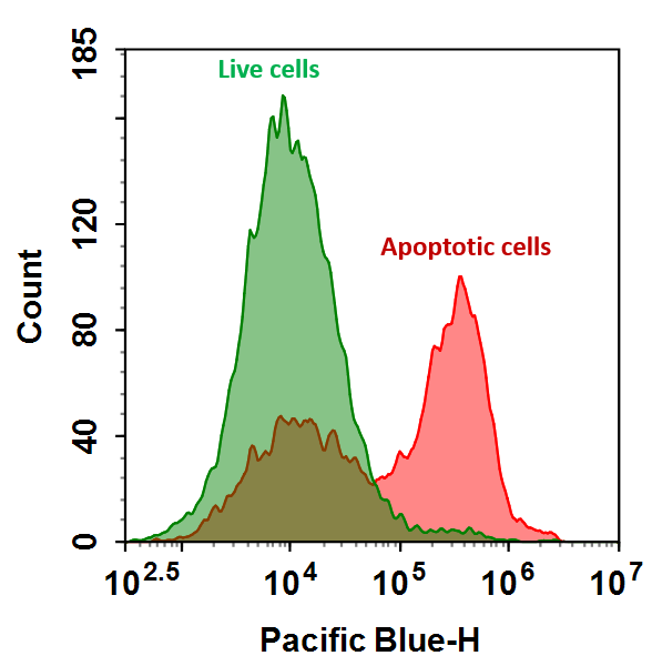 Live/Dead cell analysis using Annexin V-mFluor™ 450 conjugate