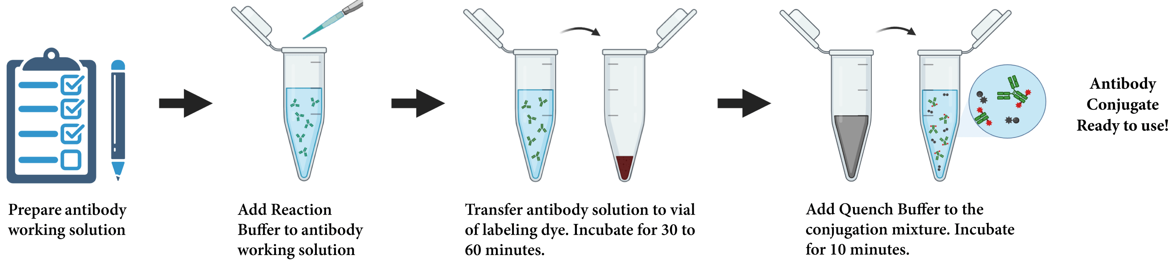 ReadiLink™ Rapid mFluor™ Antibody Labeling Kit workflow