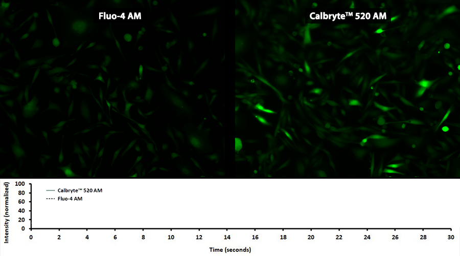 Probenecid-free ATP -induced calcium response measured in CHO-K1 cells.