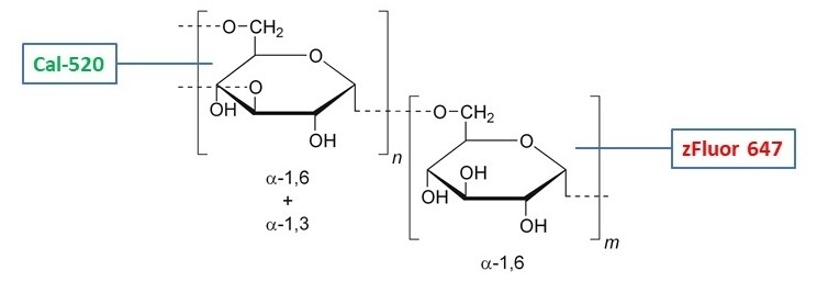 RatioWorks&trade; Cal-520&reg;/zFluor 647&trade;-Dextran Conjugate