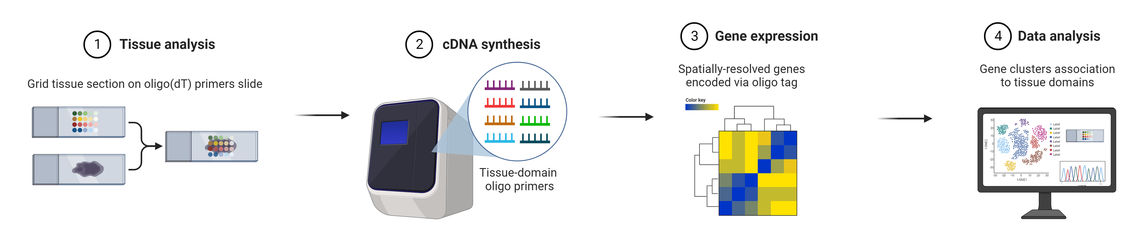 Stages of spatial transcriptomics