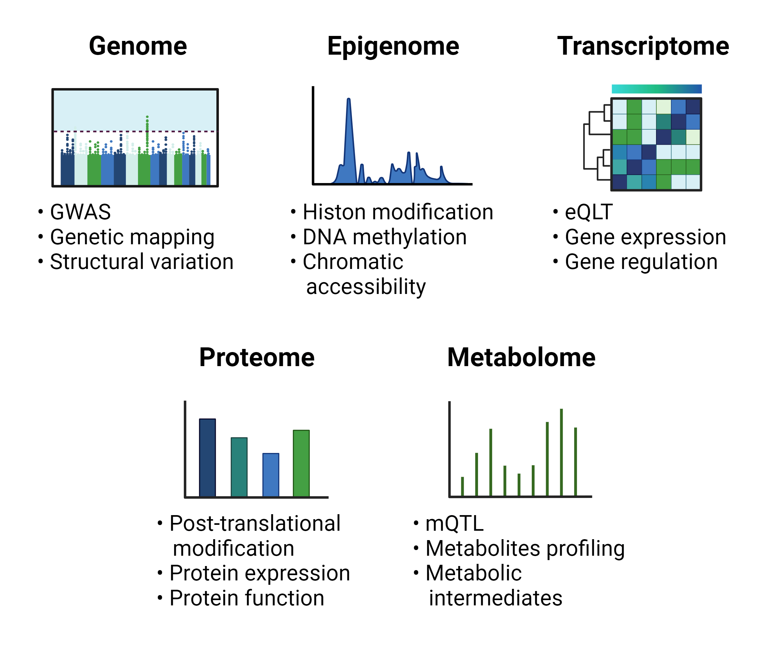 Major branches of omics biologics