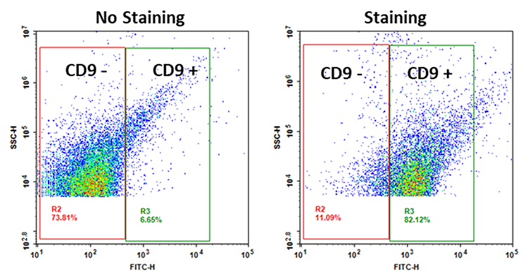 Exosomes from isolated using ReadiPrep™ Exosome Isolation Kit (Cat# 60204)